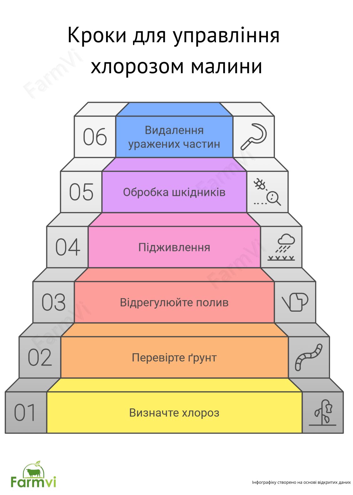 Кроки для управління хлорозом малини