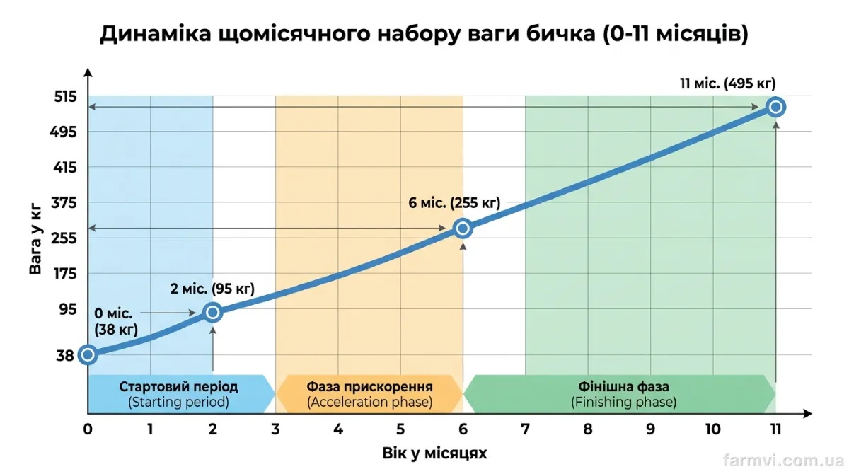 Помісячний графік динаміки живої ваги від народження до 10–11 місяців